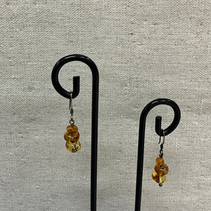 Amber Multicolor Earrings