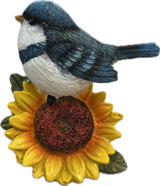 Bluebird on Sunflower