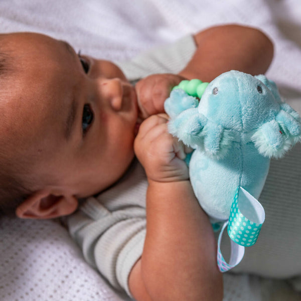 Fizzy Axolotl Teether-Rattle