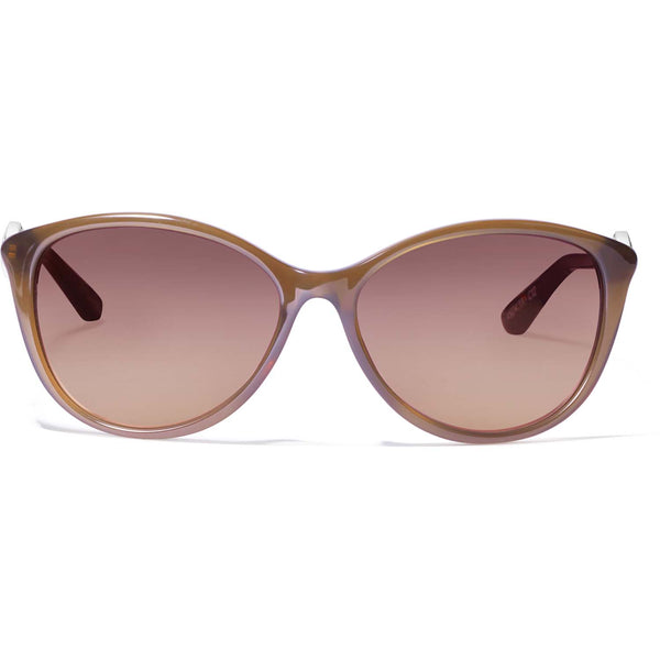 Ferrara Brown Sunglasses