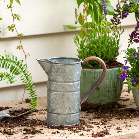 Tin Watering Can