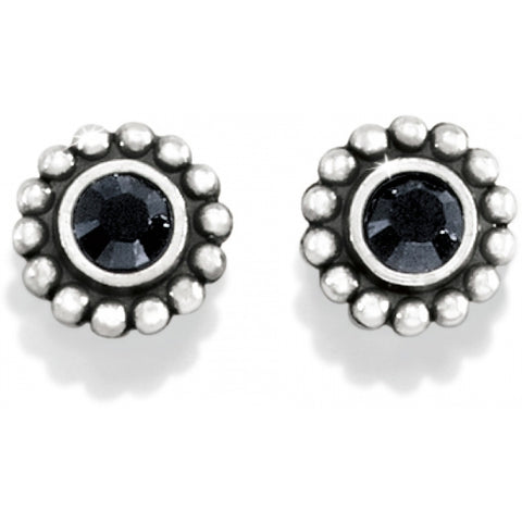 Twinkle Black Earrings