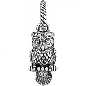 Wisdom Owl Charm