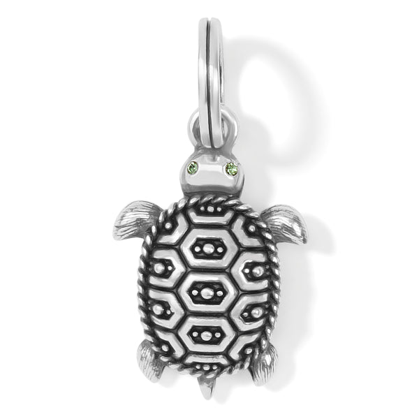 Pismo Turtle Charm