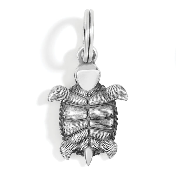 Pismo Turtle Charm